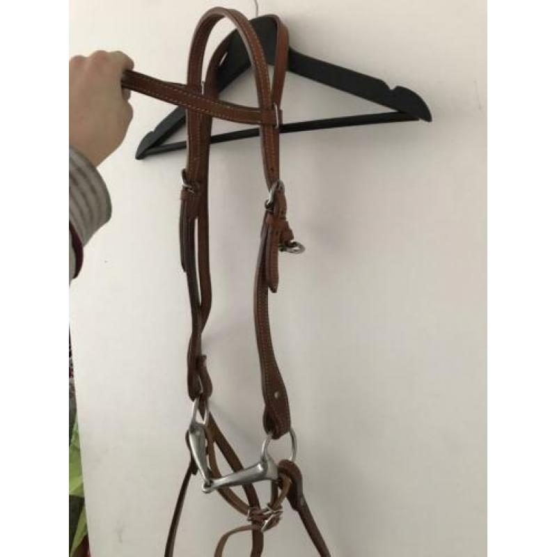 Paarden spullen