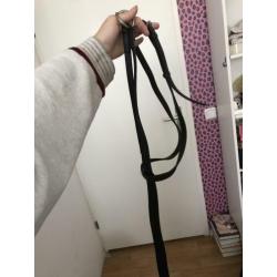 Paarden spullen