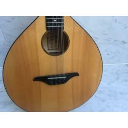 Exclusieve Mandola linkshandig (evt ruil)