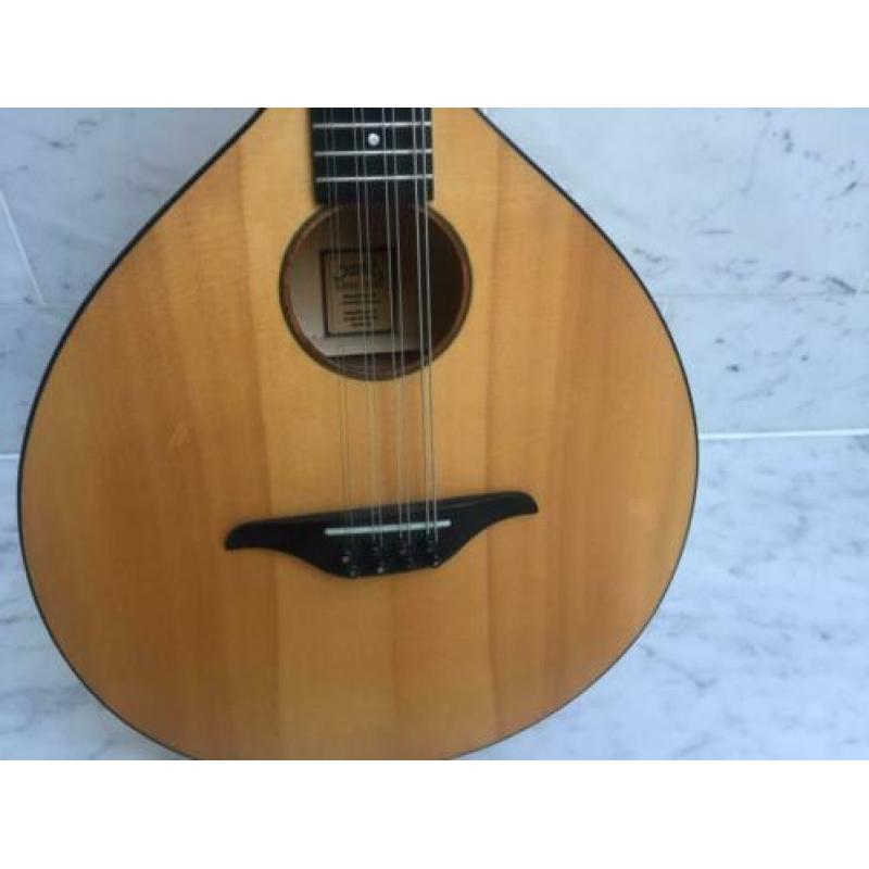 Exclusieve Mandola linkshandig (evt ruil)