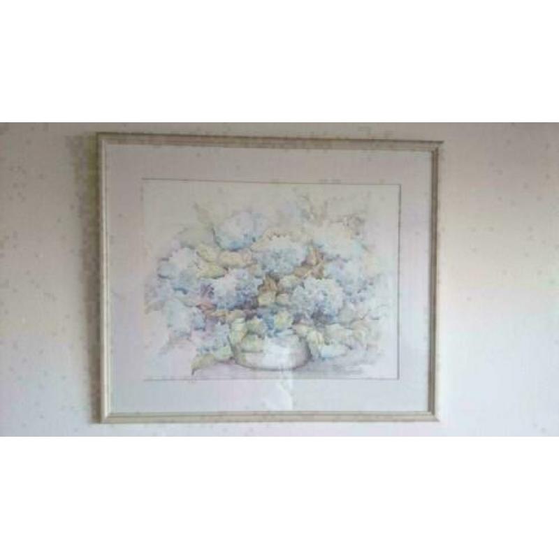 Aquarel van Ellen Kroon. Gesigneerd Hortensia`s maten lijs