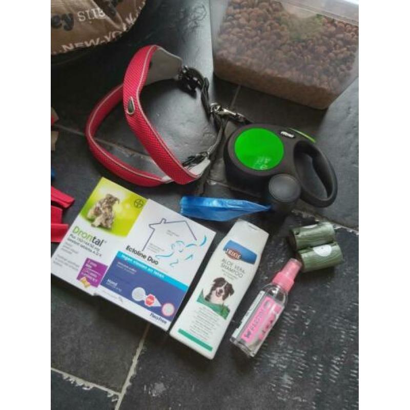 Hondenmand incl. compleet startpakket