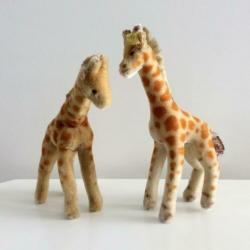 Twee Steiff giraffes