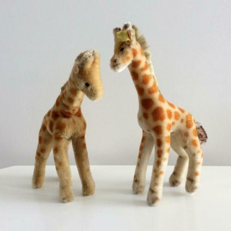 Twee Steiff giraffes