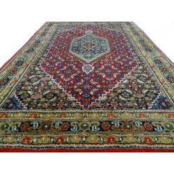 Perzisch tapijt- Bidjar -252 x 171 cm-Handgeknoopte kleed