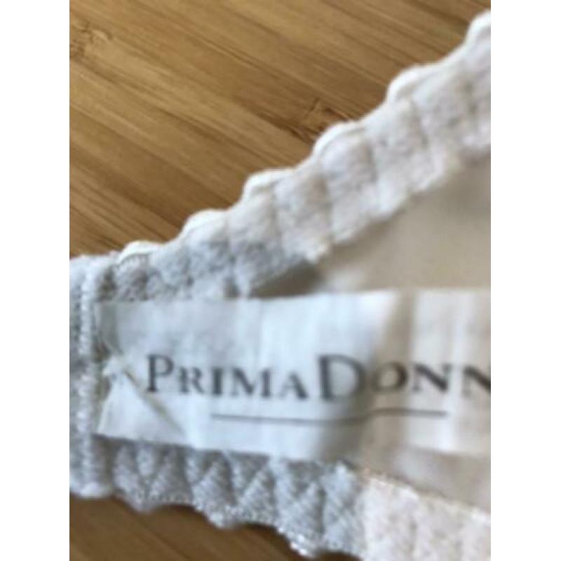 PRIMA DONNA 80D ivoor