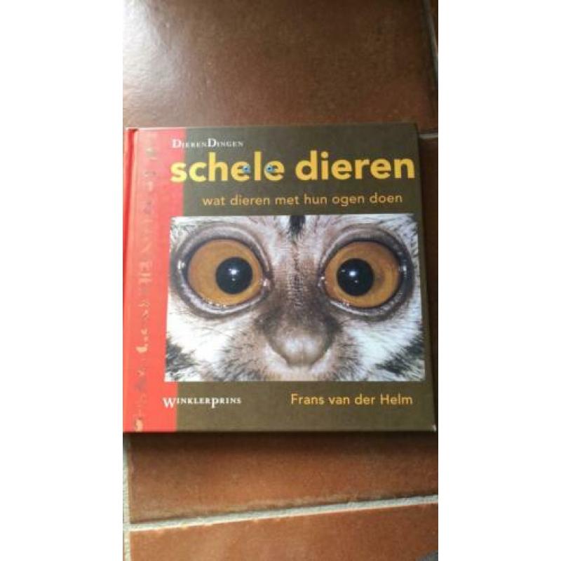 Schele Dieren wat dieren met hun ogen doen
