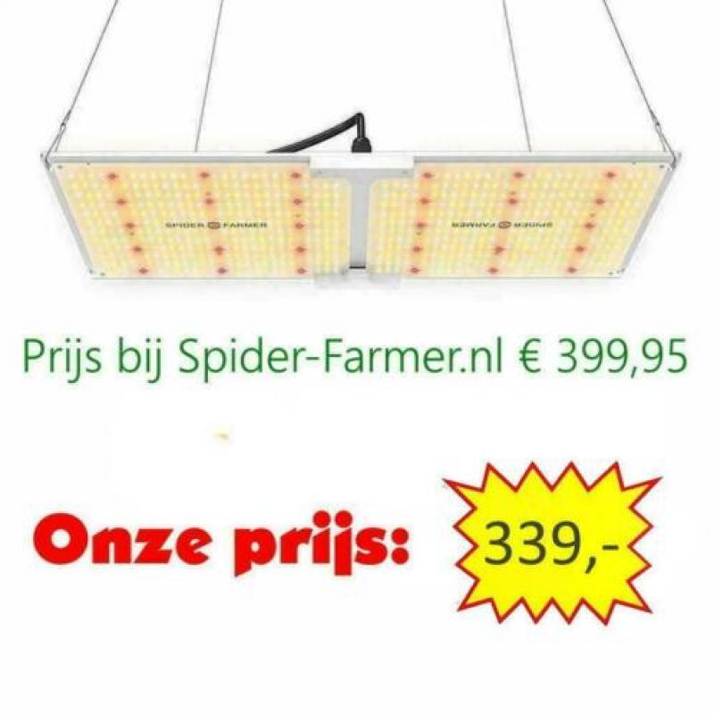 Compacte kweekset met Spider Farmer SF-1000 LED kweeklamp!