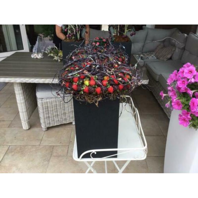 Mooie potten met kunstfruit kersen frambozen en bramen