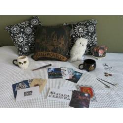 Te koop Harry Potter accessoires