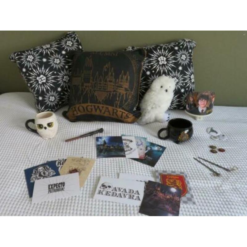 Te koop Harry Potter accessoires