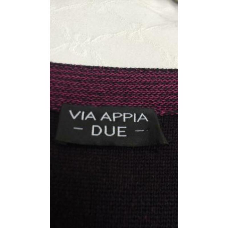 Violet/paars Damesvest mt52