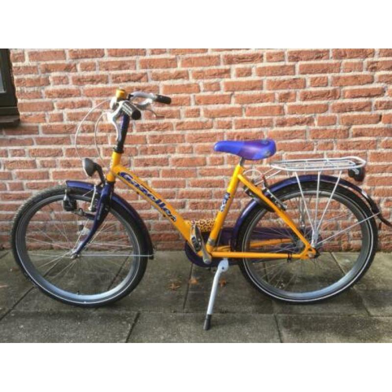 Leuke nette 24 inch Gazelle Cheetah meisjesfiets