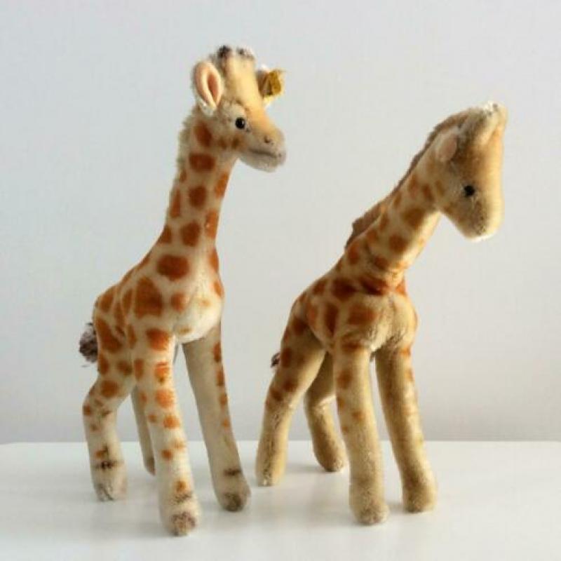 Twee Steiff giraffes