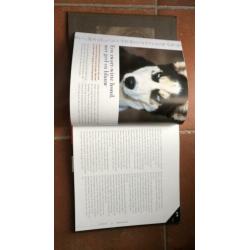 Schele Dieren wat dieren met hun ogen doen