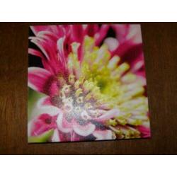 Drie kleine canvassen (A19 2063)