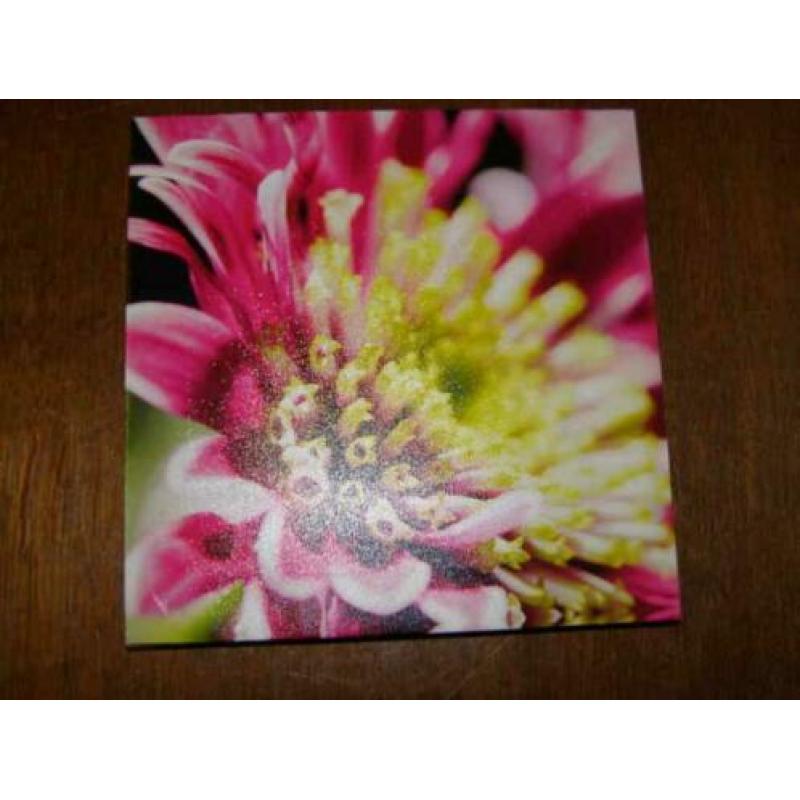 Drie kleine canvassen (A19 2063)