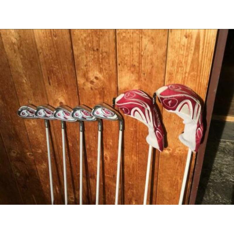 Ping Faith Dames Golfset + 1 inch