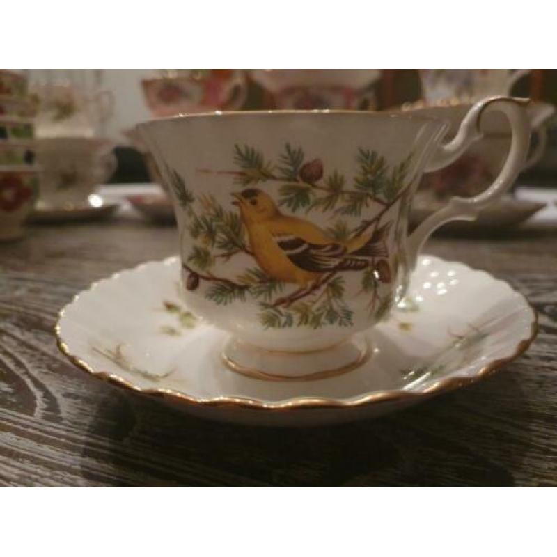 Gold lunch royal Albert