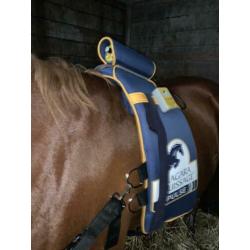 Equissage pulse behandeling