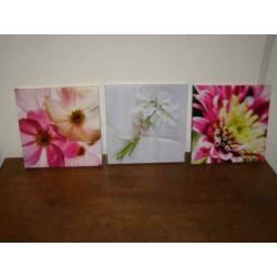Drie kleine canvassen (A19 2063)