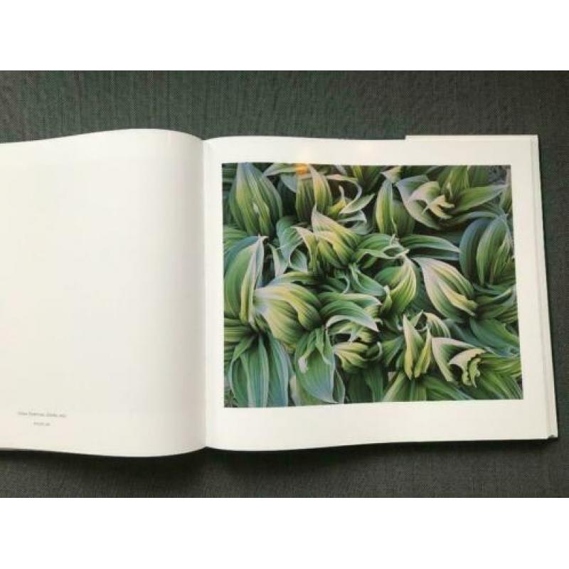 'Intimations of Paradise' photographs by Christopher Burkett