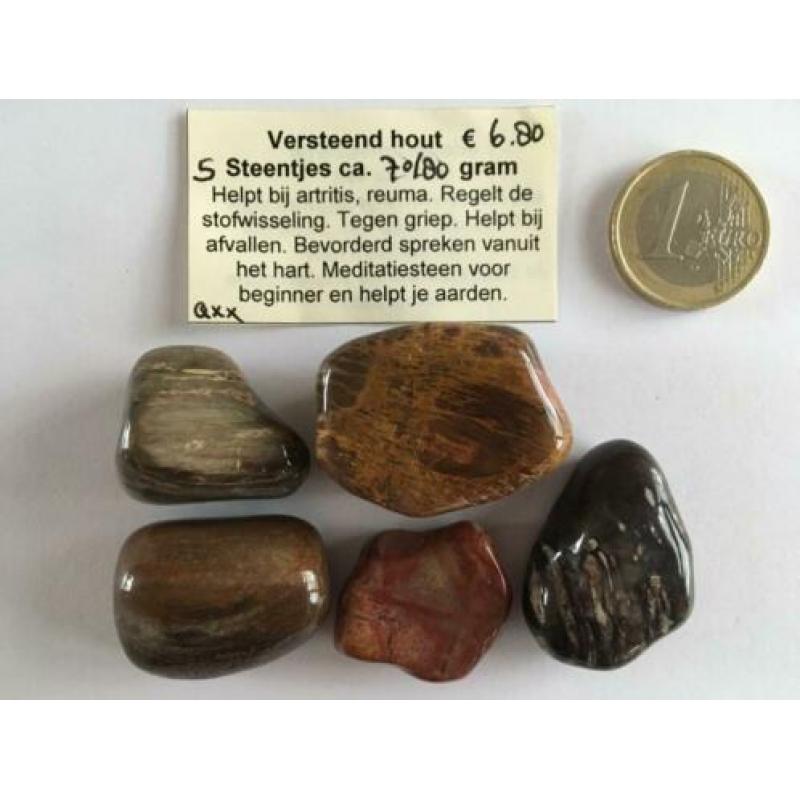 Edelstenen zakje met 5 steentjes o.a Versteend hout