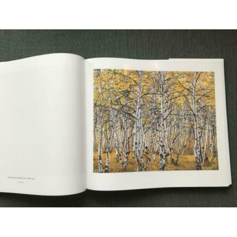 'Intimations of Paradise' photographs by Christopher Burkett
