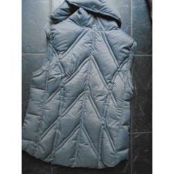 JAS/BODYWARMER van HUMAN NATURE*MAAT L**zie txt aub