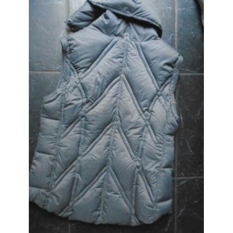 JAS/BODYWARMER van HUMAN NATURE*MAAT L**zie txt aub