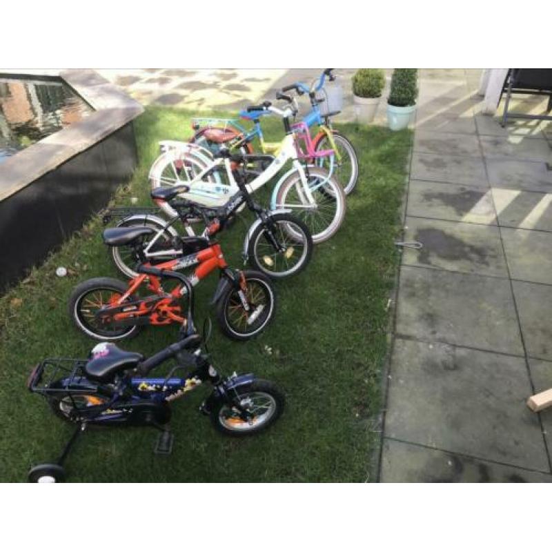 Alpina Loekie popal 20 16 14 12 inch kinderfiets