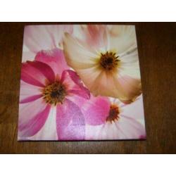 Drie kleine canvassen (A19 2063)