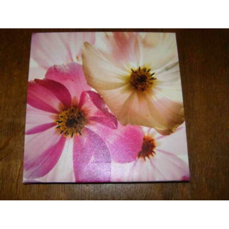 Drie kleine canvassen (A19 2063)