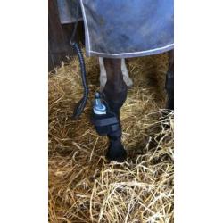 Equissage pulse behandeling