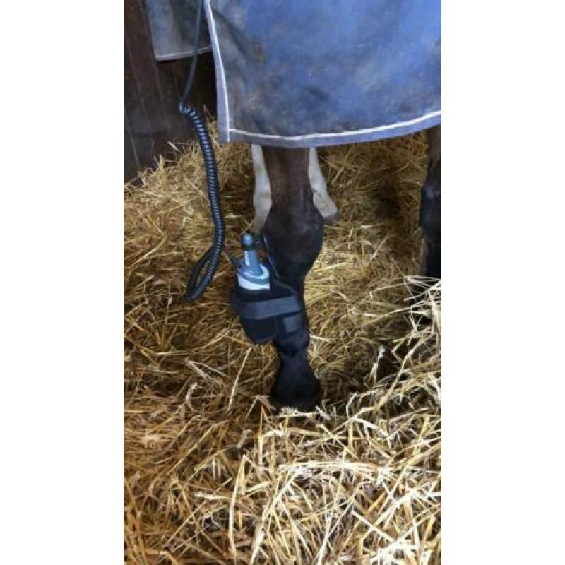 Equissage pulse behandeling