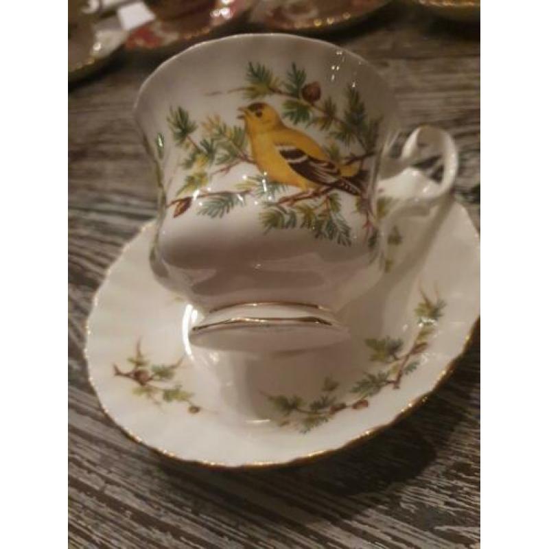 Gold lunch royal Albert