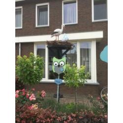 ooienvaars nest
