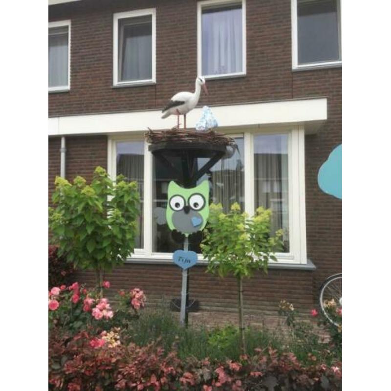 ooienvaars nest