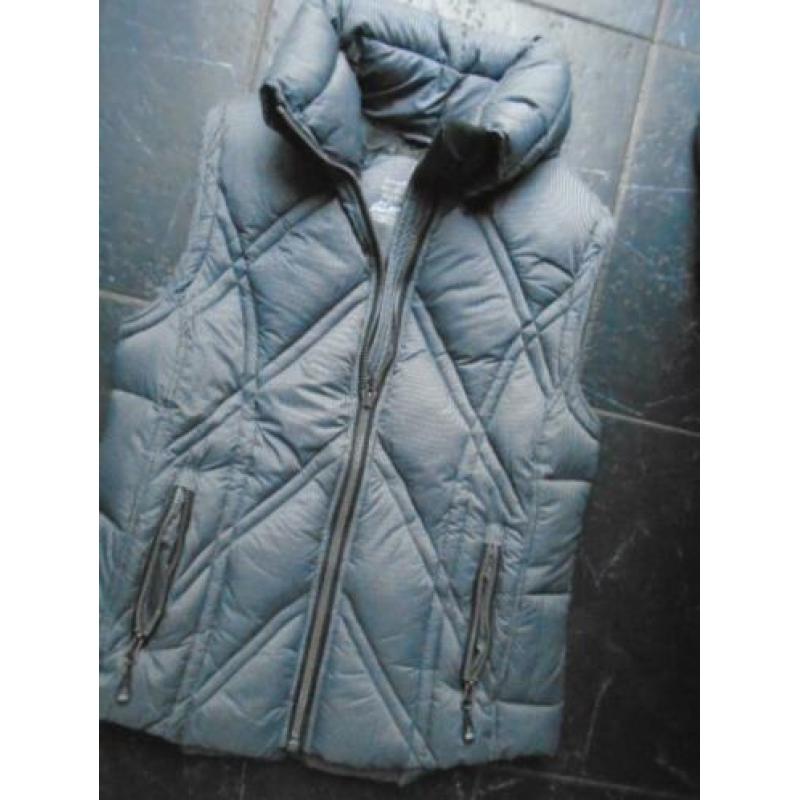 JAS/BODYWARMER van HUMAN NATURE*MAAT L**zie txt aub