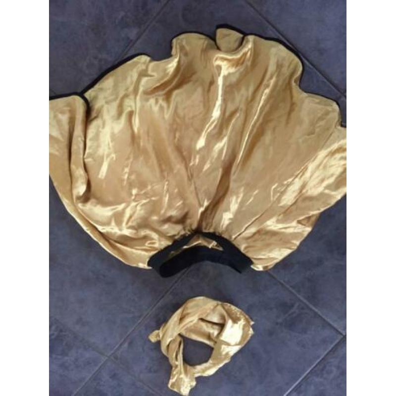 Goudkleurige rok met tule en bijpassend sjaaltje