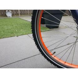 Loekie Booster 22 inch