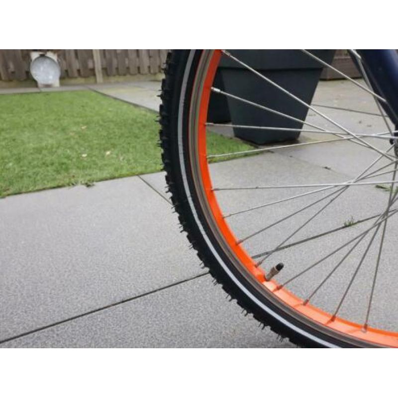 Loekie Booster 22 inch