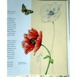 Aquarel - Bloemen in waterverf (Aquarel) - nieuw