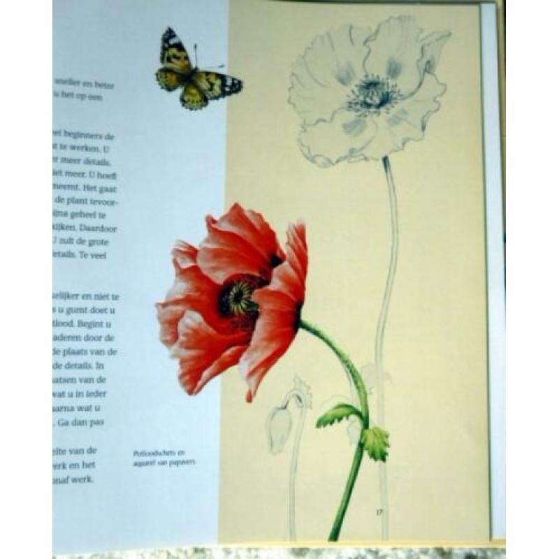 Aquarel - Bloemen in waterverf (Aquarel) - nieuw