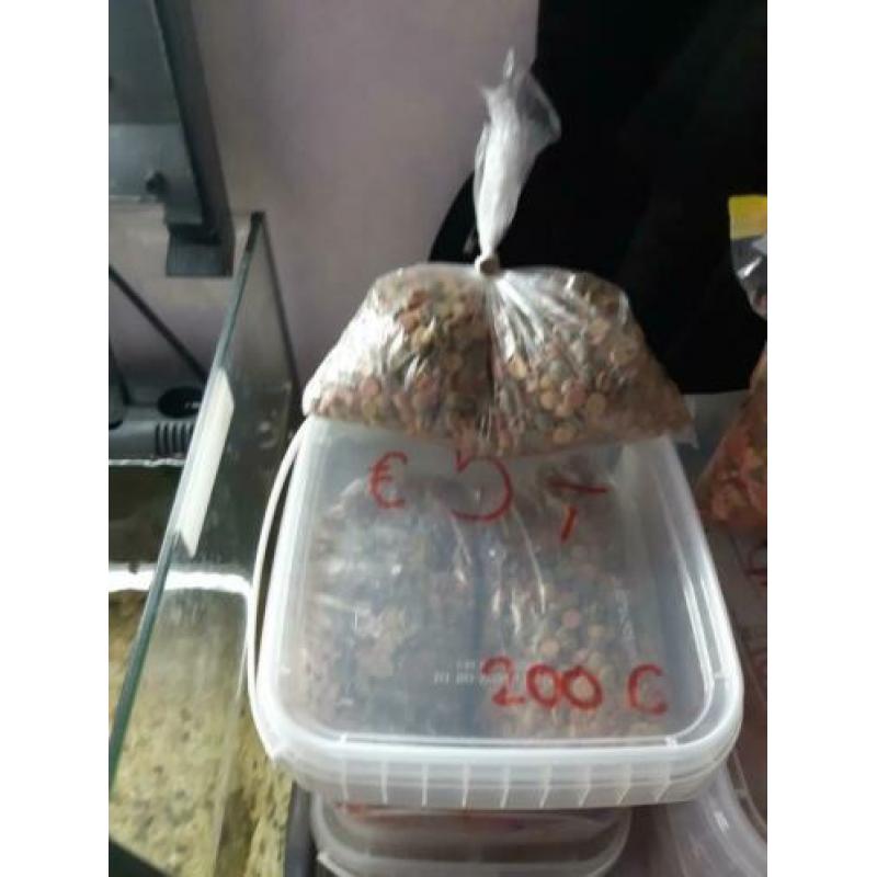 11 jonge corydora panda voor €25