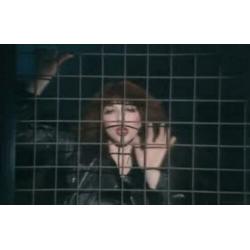 Kate bush dvd1979 tv special