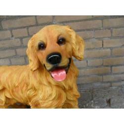 Golden Retriever Beeld van Kunststof Koperboutique Yvonne