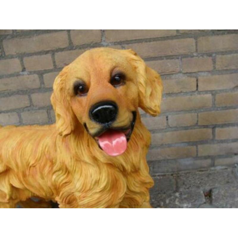 Golden Retriever Beeld van Kunststof Koperboutique Yvonne