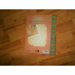 Bouw een piramide ISBN: 9789088200618 jouw Missie nieuw