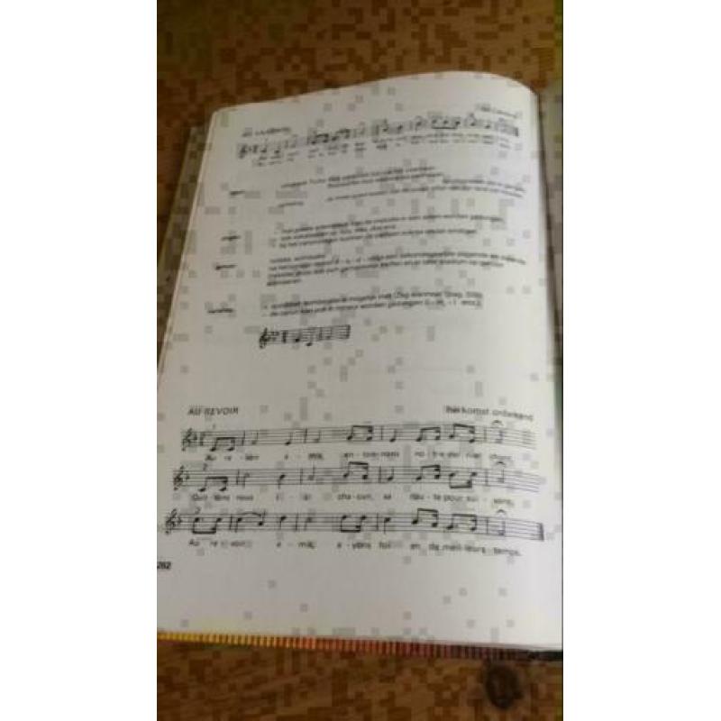 Hoy , een lied!